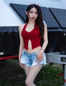 变形金刚2 在线