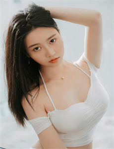 飞机总动员国语